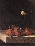 COORTE, Adriaen Three Medlars with a Butterfly df oil painting